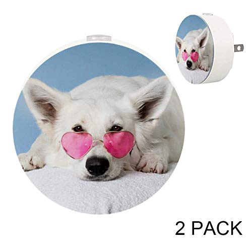 Kalp gözlüklü köpek köpek yatak odası, koridor ve mutfak için LED otomatik ışık takın, 2'li paket