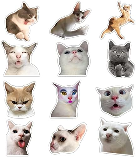 Komik Kedi Çıkartmalar Paketi, 12 Set Kedi Meme Çıkartmaları, Su geçirmez Kedi Kitty Vinil Çıkartmalar Toplu, Oda