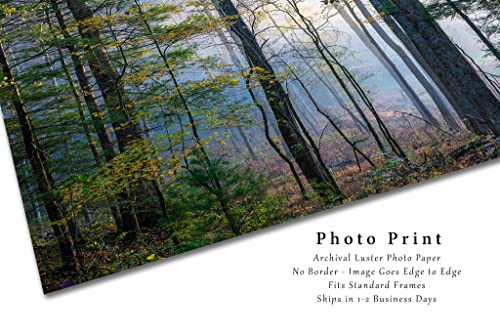 Orman Fotoğraf Baskı (Çerçeveli Değil) Resim Ağaçları Sis Sonbahar Sabahı Büyük Smoky Dağları Milli Parkı Tennessee