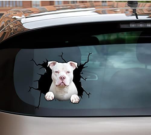 Pitbull Baba Çıkartmaları Pitbull Çıkartması Köpek Çıkartmaları Pitbull Vinil Sticker Pitbull Araba Sticker Çıkartması